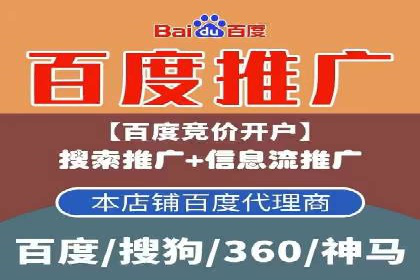 某电商平台的SEM优化托管实践与效果评估